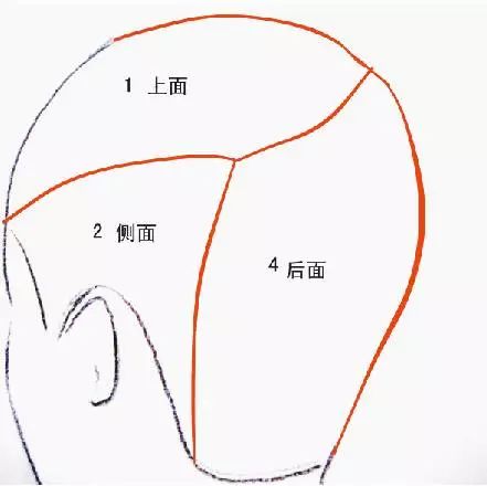 【剪烫技术连载1】头部分区修剪基础,发型师必须知道!