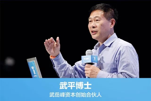 芯片的机遇与挑战"的主题演讲中,武岳峰资本创始合伙人武平博士指出