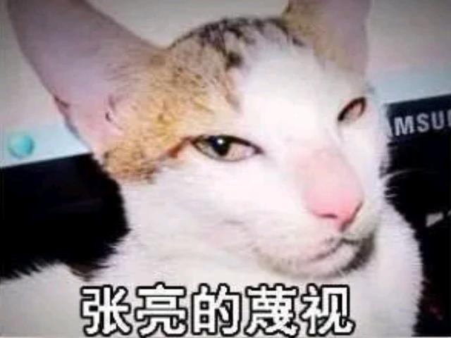 明星们的翻版形象知多少?何炅版小女孩,杨迪版惊悚猴子