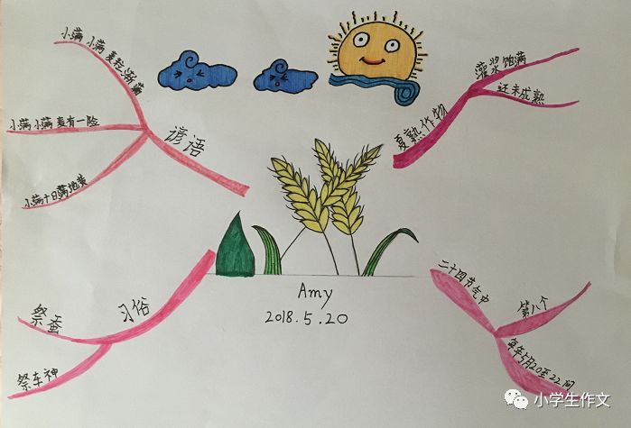 原创小满思维导图小学生作品内含诗句谚语