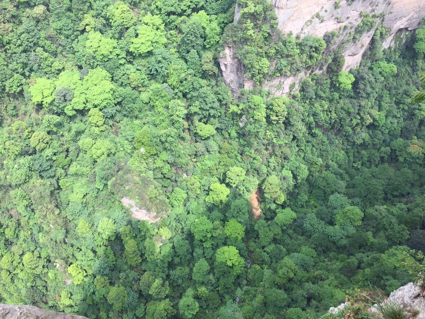 张家界旅游攻略轻松浪漫的湘西之旅长沙张家界天门山