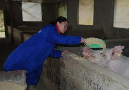 女大学生回乡养猪,脱贫致富喜结良缘