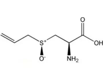 才能活化其中的酶,从而将蒜氨酸催化成大蒜素