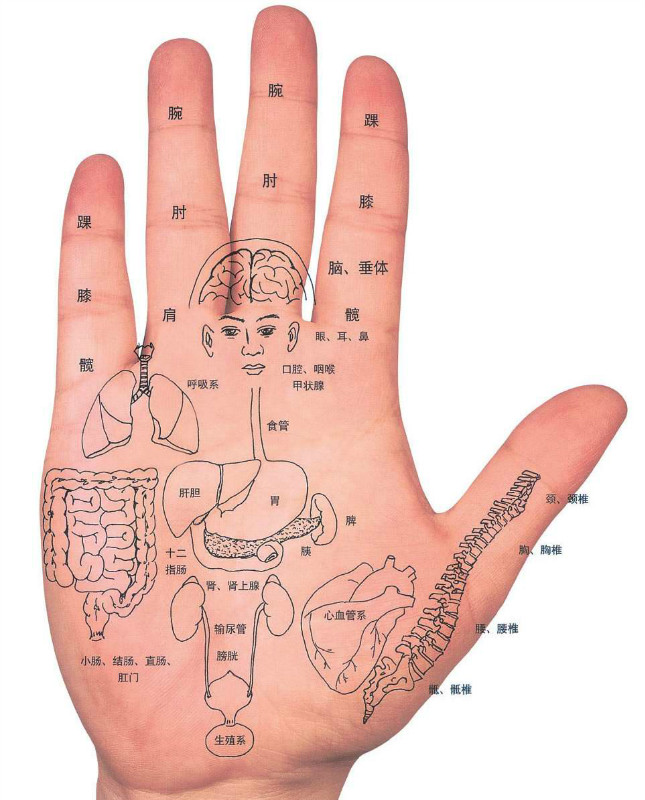 人的手指,手掌,指甲在色泽,形态,纹理等方面所发生的异变,常常是内脏