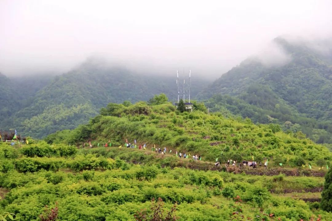 茶坑村