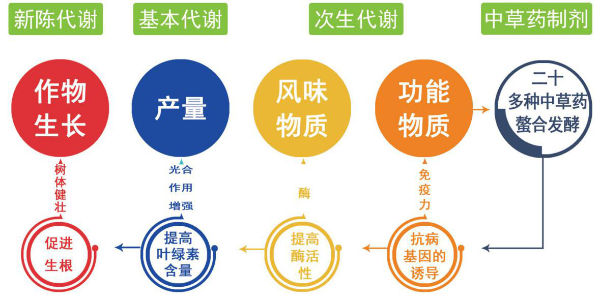 生物农药有机中草药制剂杀菌剂对植物的影响介绍