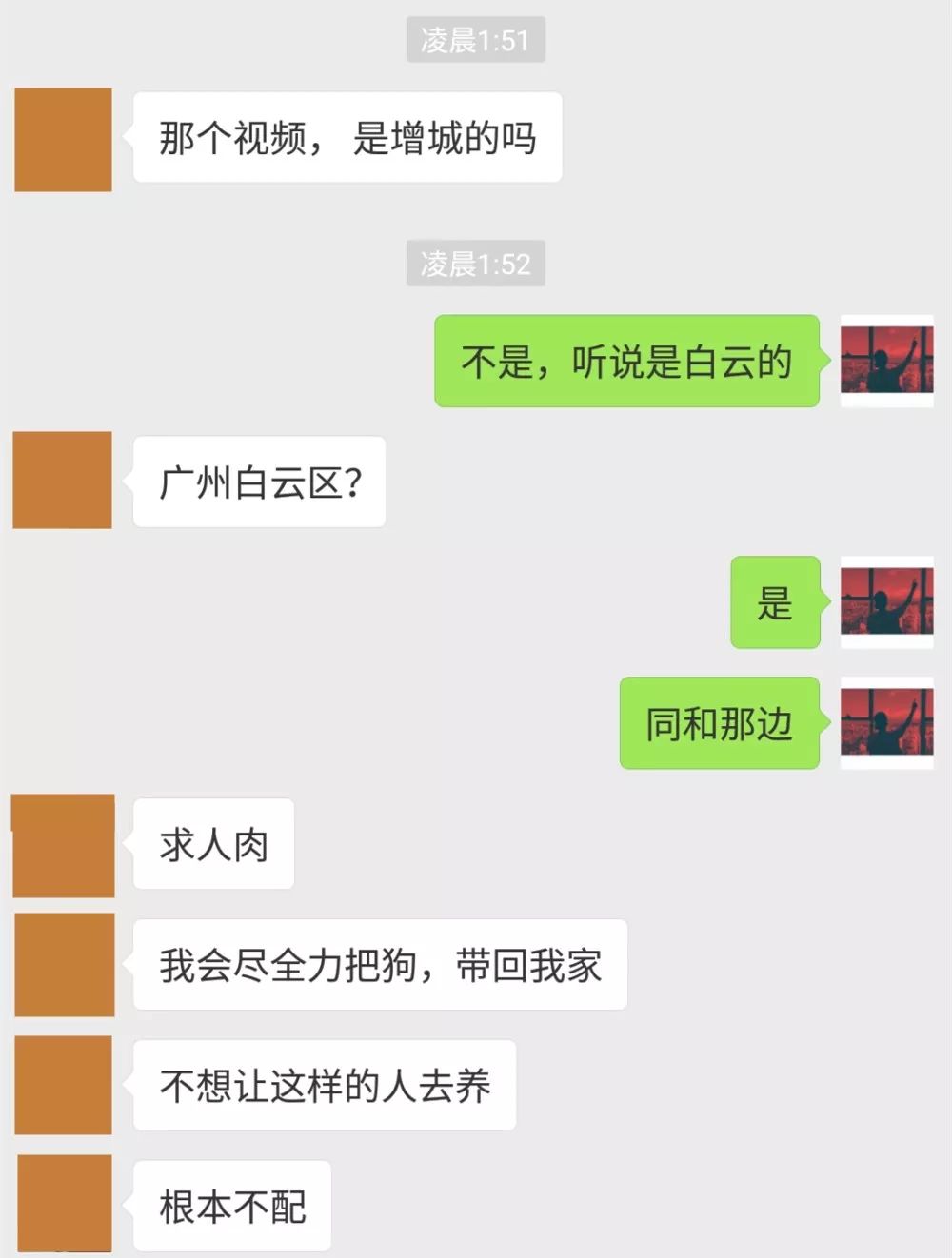 小编看到这件事后真的非常的生气可以不爱狗但真的请别伤害它们也不要