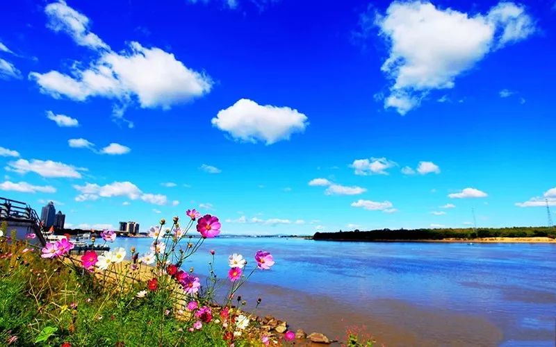 松花江后乘车经松花江公路大桥游览【太阳岛】风景区,太阳岛碑前留影