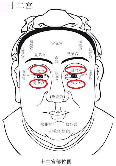 而子女宫位置有红痣的人代表可以子孙满堂,家族兴旺,其在中晚年亦能