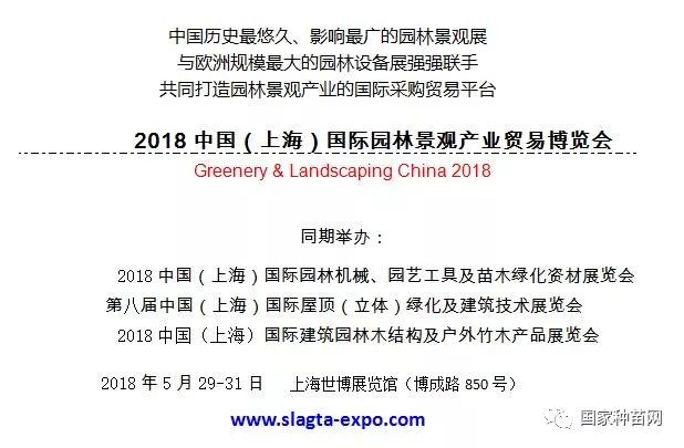 桓台常住人口城镇化率2020_常住人口城镇化图片(3)