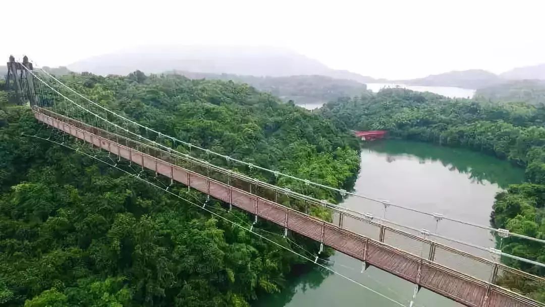 9通玩茶溪谷!门票限量抢!拼手速的时候到了!