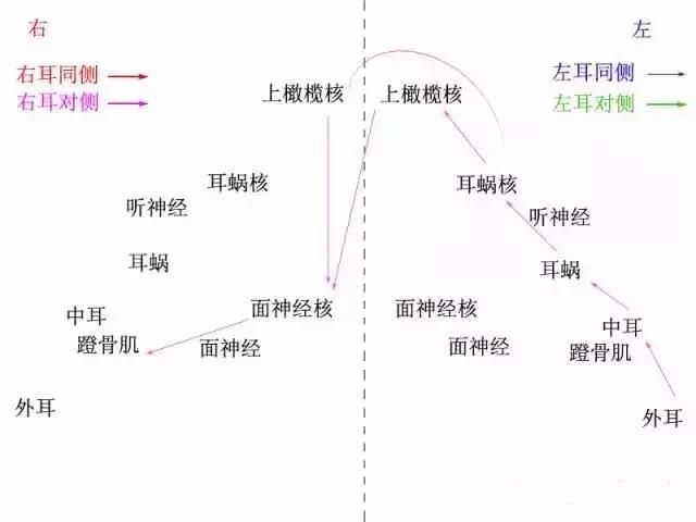 跟我一起认识声反射