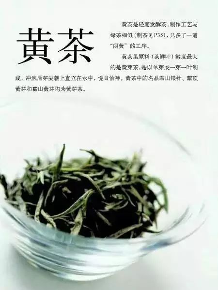 3,黄茶