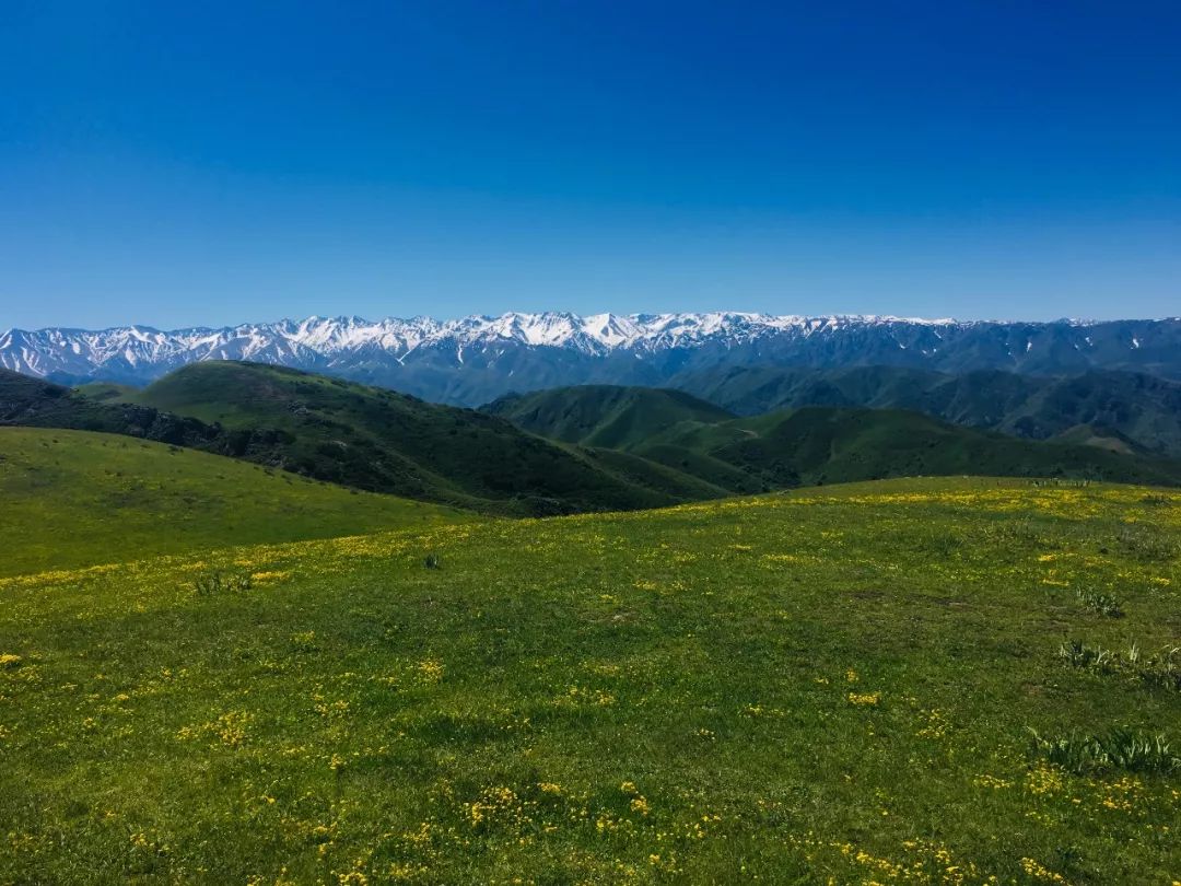 巴尔鲁克山