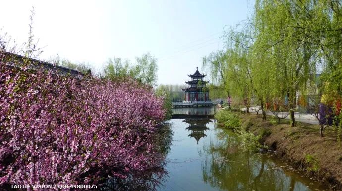 "盐城十景"及"盐城十景提名奖"出炉!看看盐都哪几家