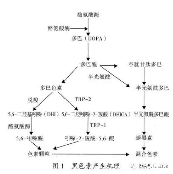 单纯的原理原则读后感_设计中的设计读后感