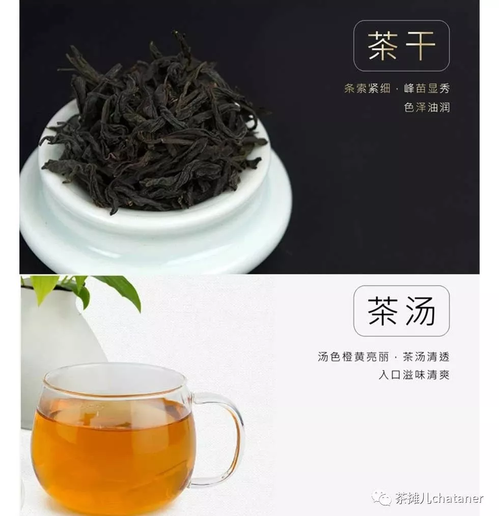 茶摊儿小课堂正山小种为什么被称为世界上第一杯红茶