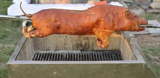 明江烤猪