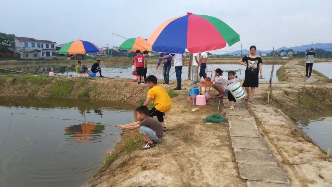 这个30亩大的钓龙虾基地距城区仅3公里!