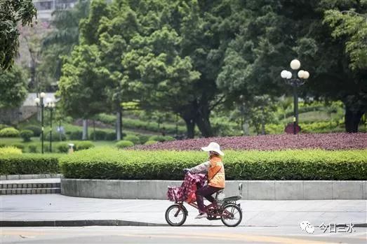 上述人口政策能说明_人口普查