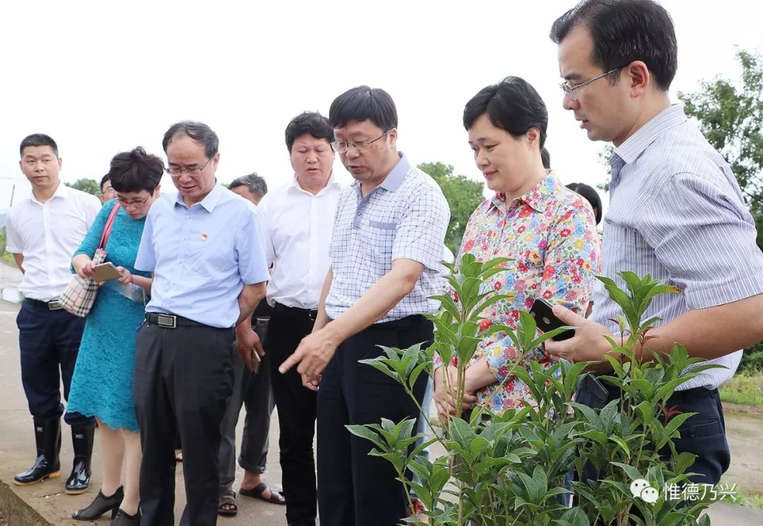 杨丕龙,江西省发改委收费管理处处长曾树波,上饶市水利局局长苏章锦