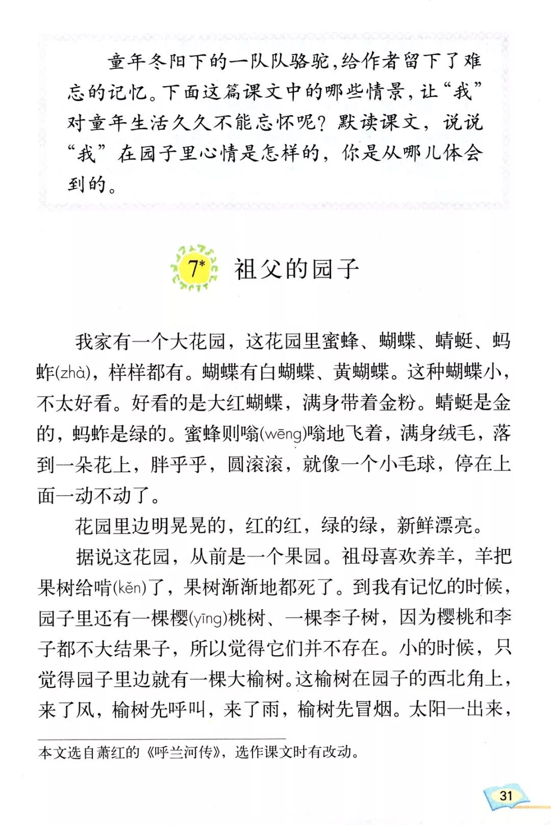 《祖父的园子》丨那些年,我们一起读过的课文