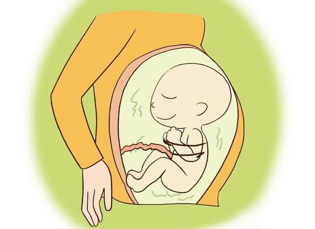 怀孕时肚子大生男宝,肚子小生女宝,真的有这个科学依据吗?