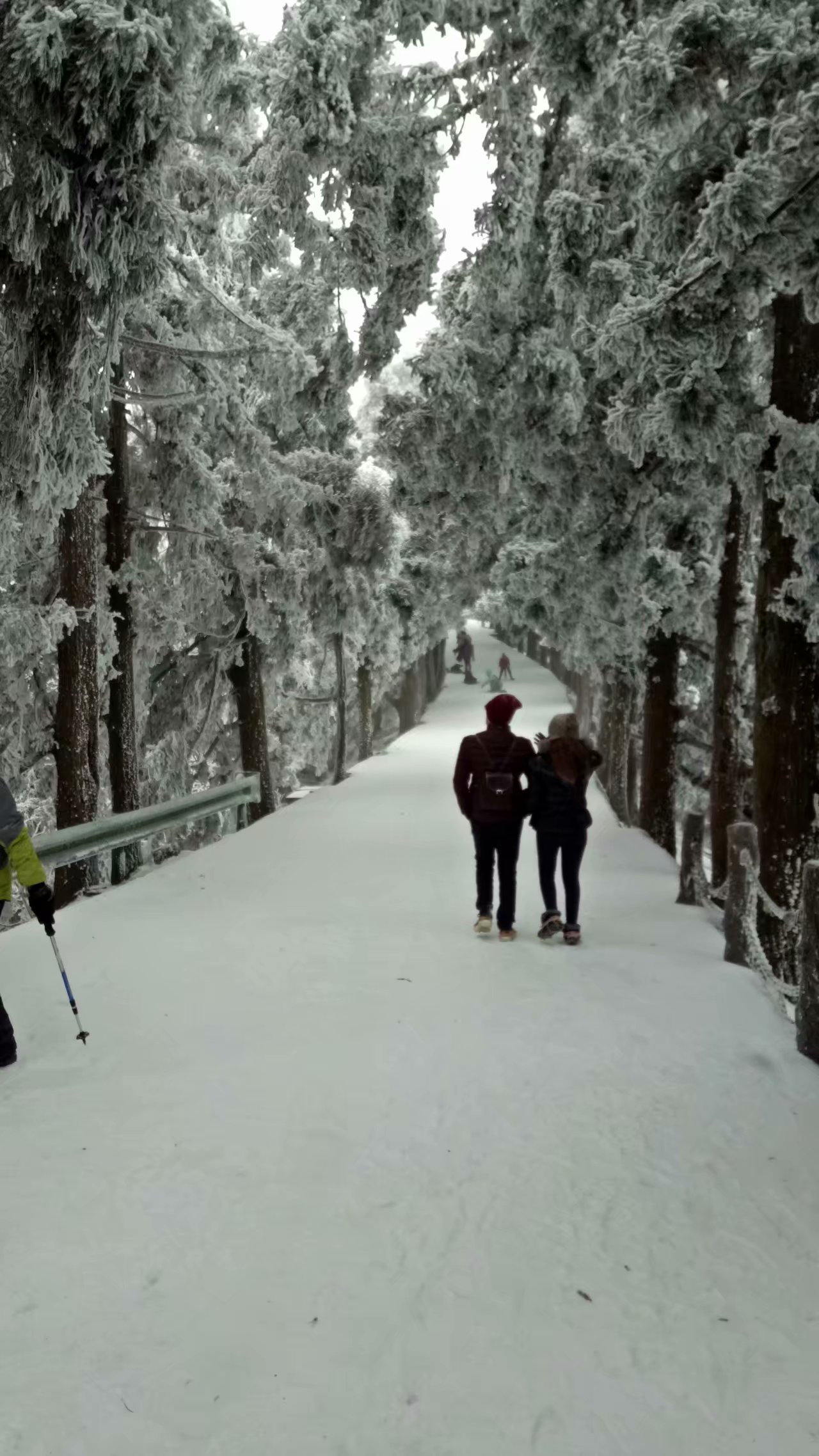 南岳衡山雪景,人生第一次看雪