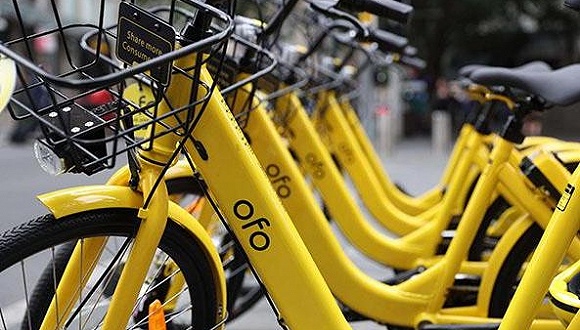 ofo uk