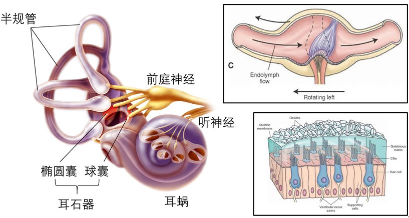 讲座丨空间感知