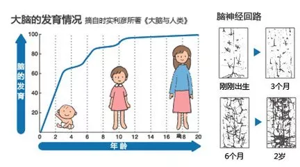 9～11岁孩子处于儿童期的后期阶段,大脑发育正好处在 内部结构和功能