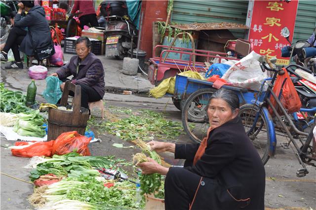 农村老太在菜市场帮人择菜,一把韭菜,葱才五毛称总比闲着好