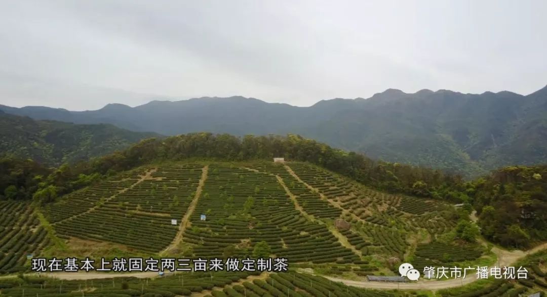 石川人口_石川恋(3)