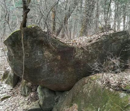 山中石灵千年修得玲珑剔透之心,传闻得此心者可得天下智慧,无辜石灵