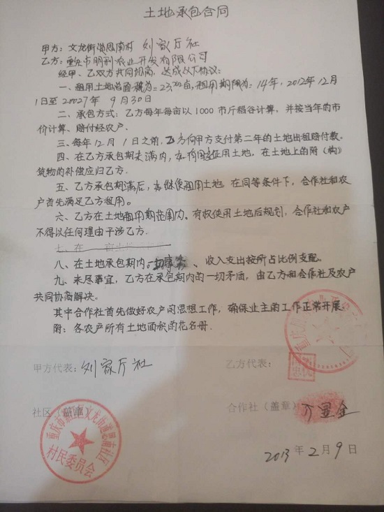 《农村土地承包经营权出租合同》,甲方将其承包的綦江县文龙街道思南