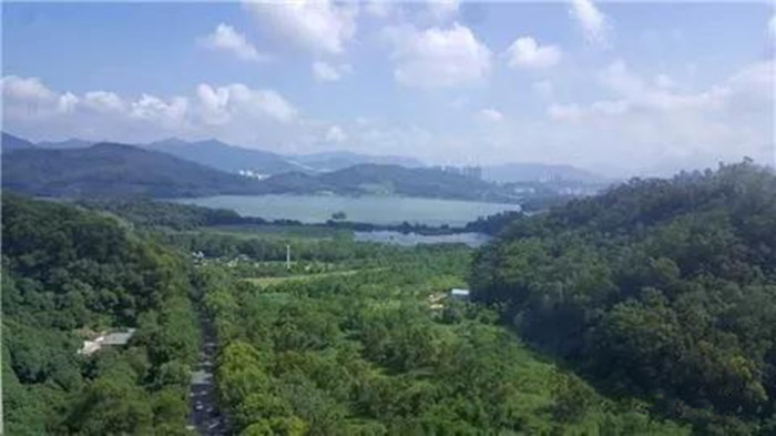 深圳水库水源保护区和梧桐山风景区,80%以上的面积在水源保护区和生态