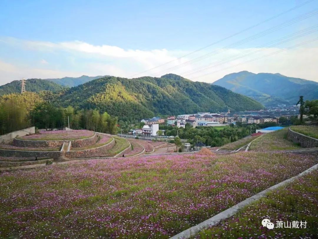 戴村,抖音见.