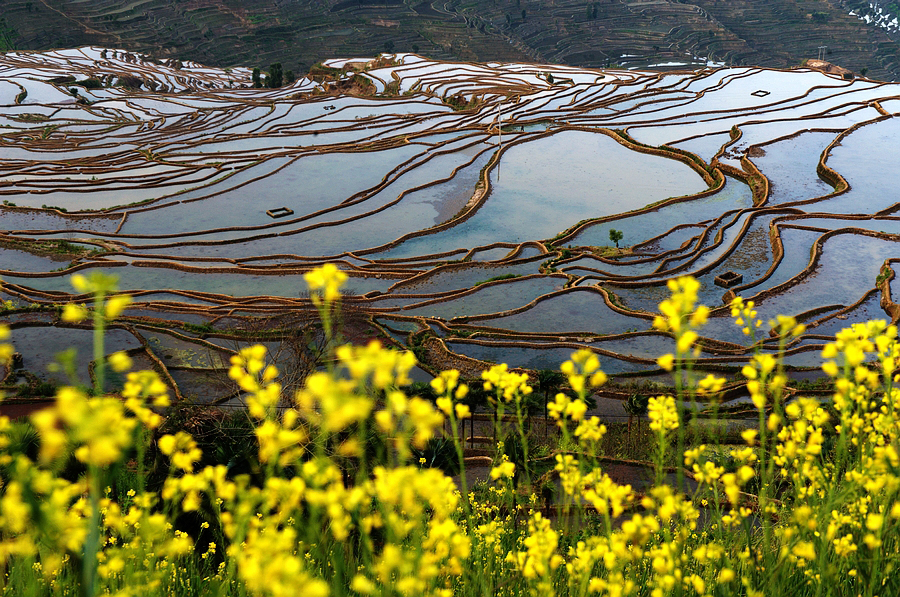 "土味"旅行哪家强?网友评出2018十大乡村旅游地,有你的家乡吗