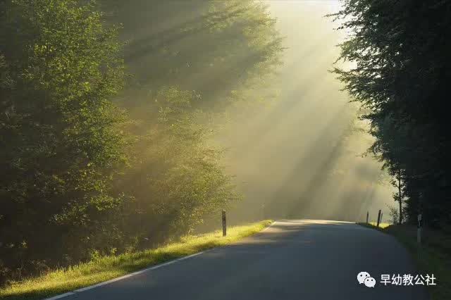 im体育其实你不是真正地了解早教(图3)