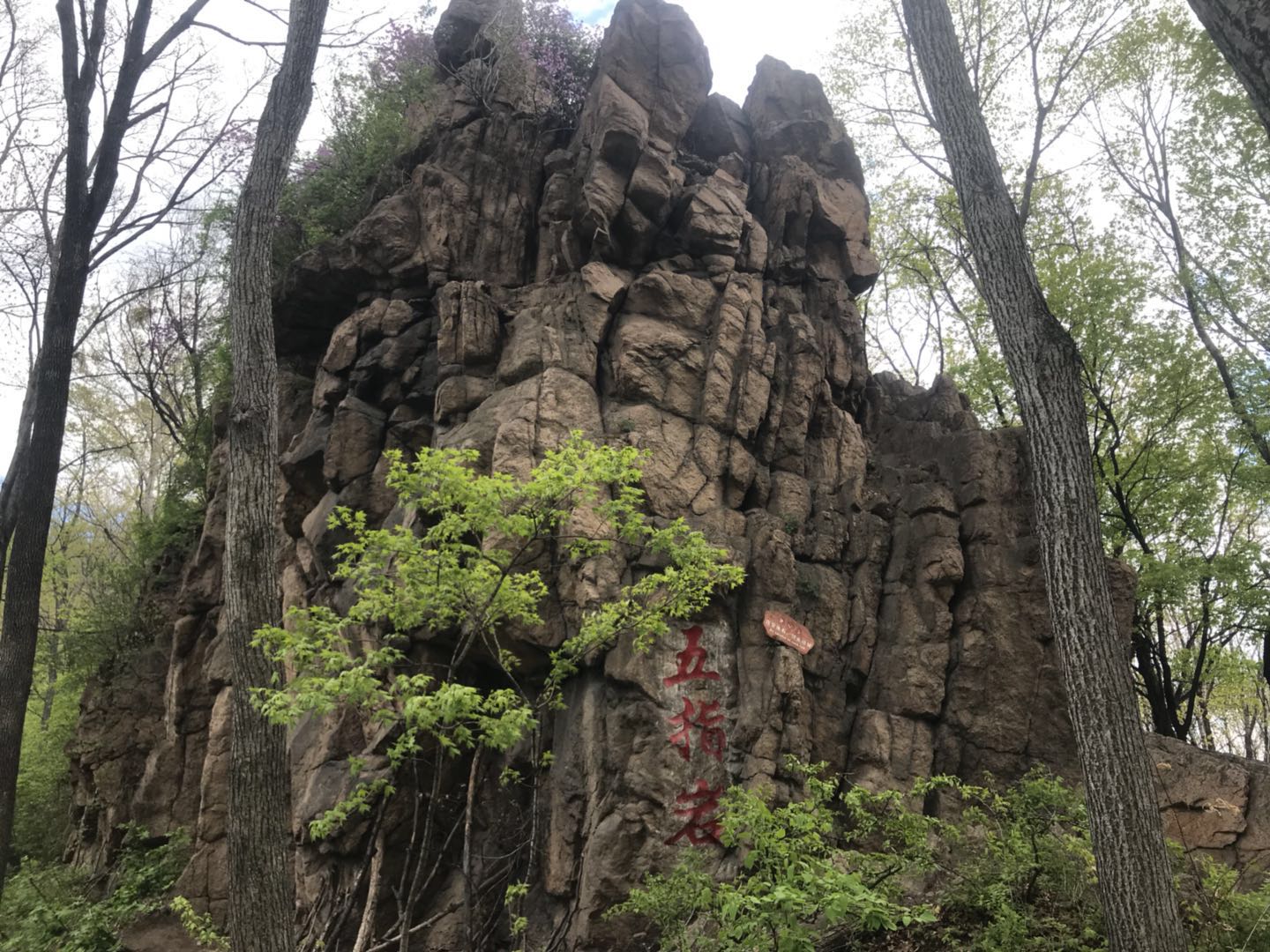 巴彦骆驼峰壹台山简介门票团购一日游