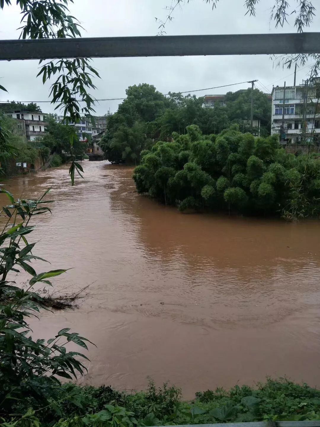 江安河流水位暴涨,路灯被淹,小哥雨中洗澡爆