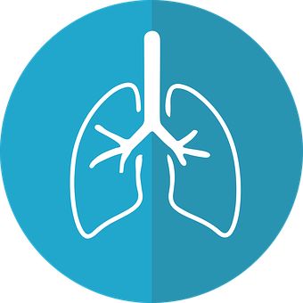 呼吸科医生作为呼吸科,最后良心劝大家一句:别吸烟了!