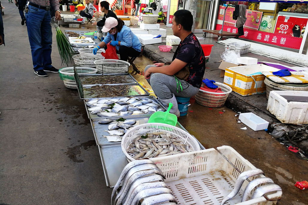 这些海鲜摊位卖的是一些冰鲜和养殖海鲜,夏季休渔期基本就这样了.