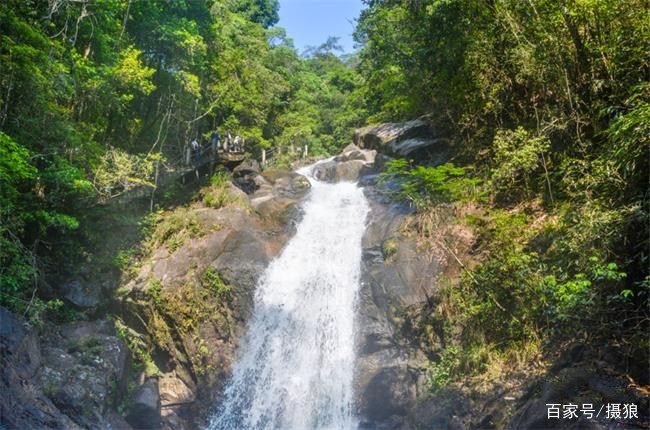 进入景区大门,一大片郁郁葱葱的树林伫立在眼前,溪水潺潺,空气清新