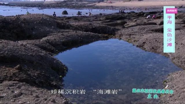 爱情岛人口_爱情岛(2)