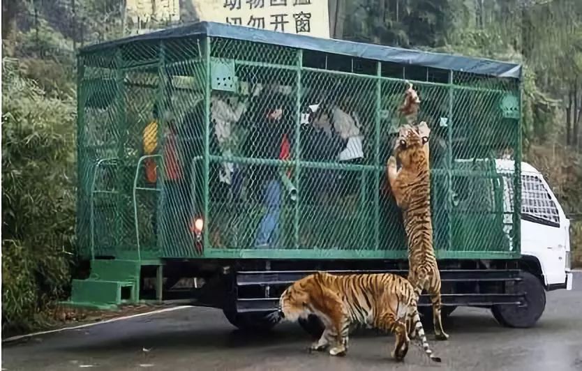 占地1200亩!阜阳野生动物园来了,和岳家湖公园一样大