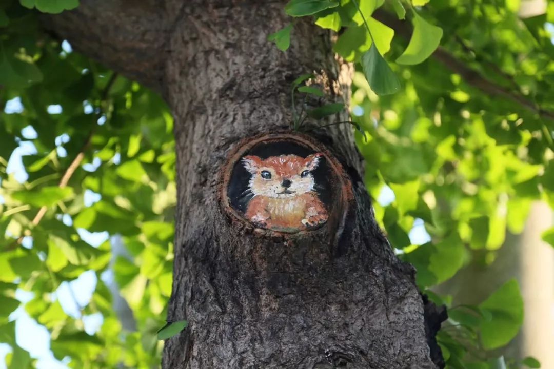 画完这幅 还有一幅 这个树洞里钻出一只小松鼠
