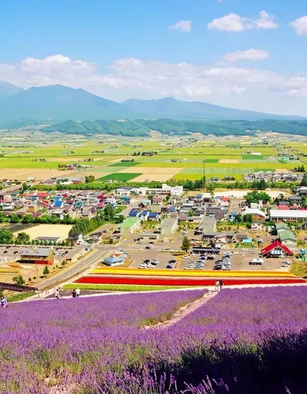 夏天的北海道最美的旅游景点在哪里