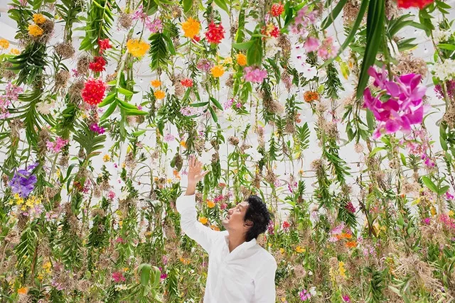 用上万朵鲜花造了个空中花园坠入芳香四溢的奇境