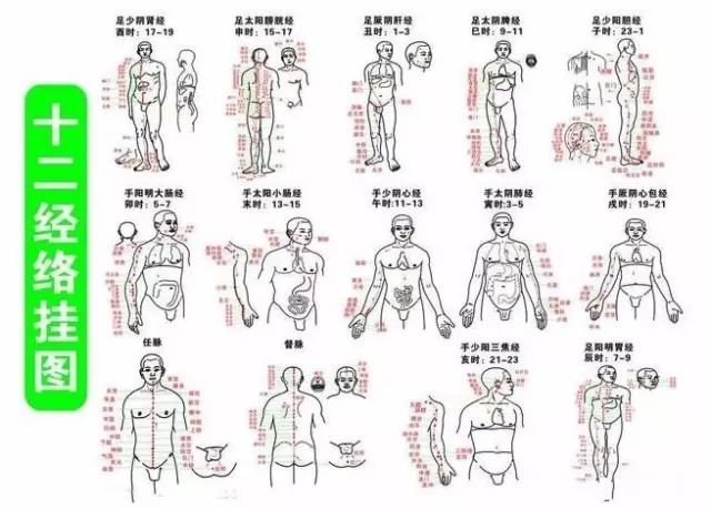 养生保健常拍四窝分别是腋窝肘窝两髀膝窝